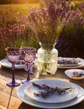 Lavender feature image