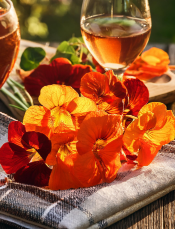 Nasturtiums Feature