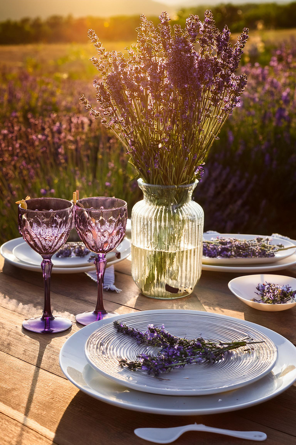 Lavender feature image